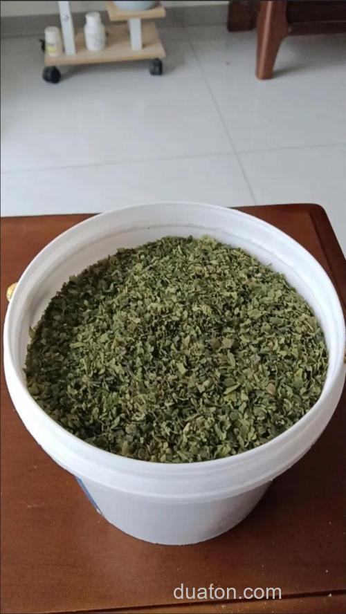 藻粉钓鱼效果怎么样?