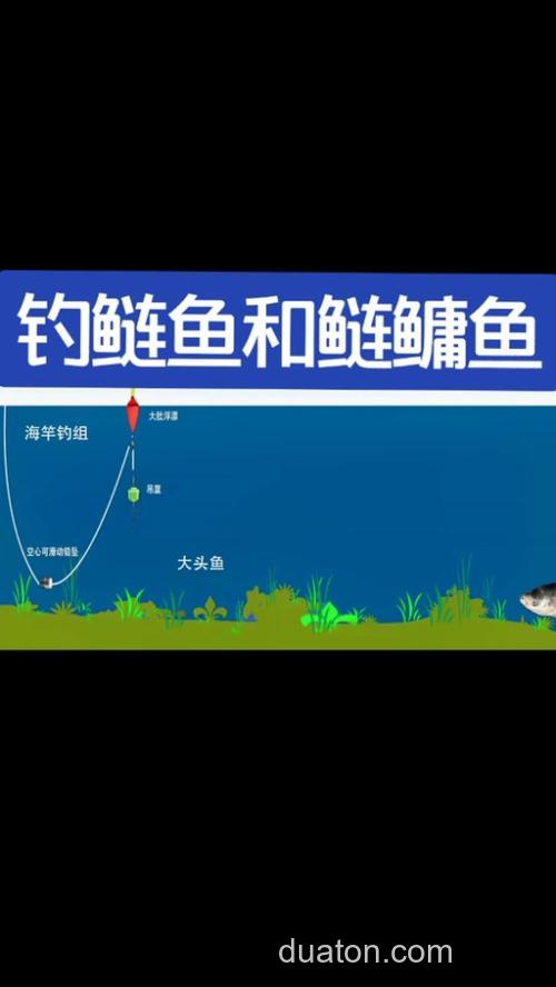 白鲢鱼怎么个钓法