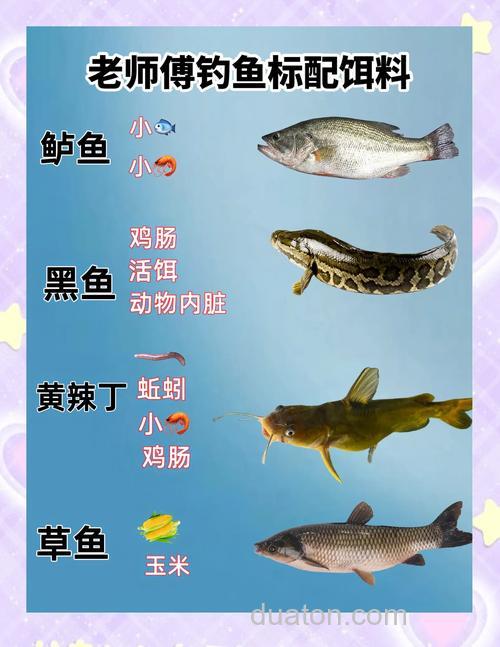 秋天钓鱼用什么饵料