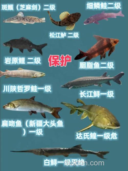 十大牢底坐穿鱼有哪些？