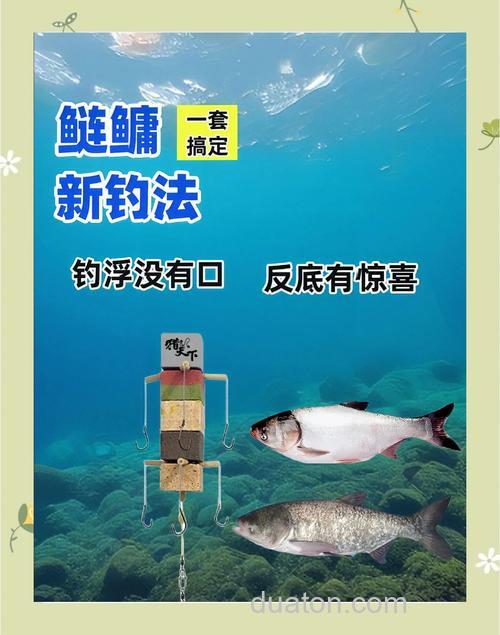 遇到退水时为什么就钓不到鱼了?但鲢鳙恰巧相反