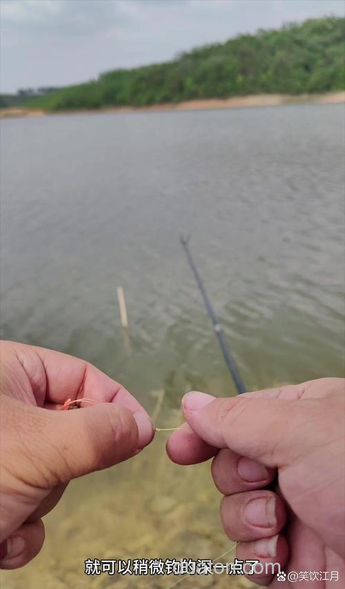 伏天钓鱼深水好还是浅水好?