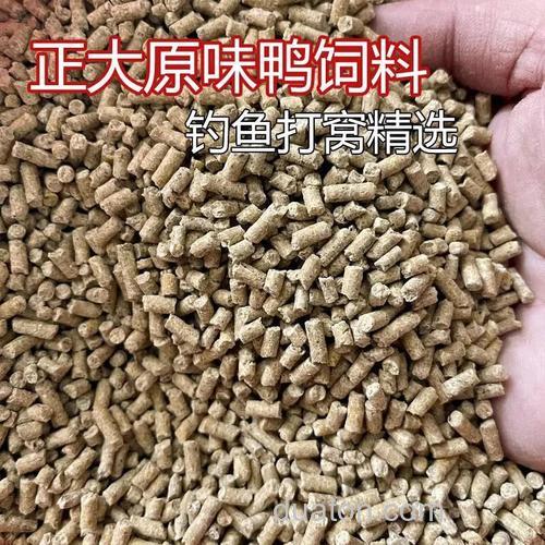 鸭饲料怎么钓鲤鱼最快?