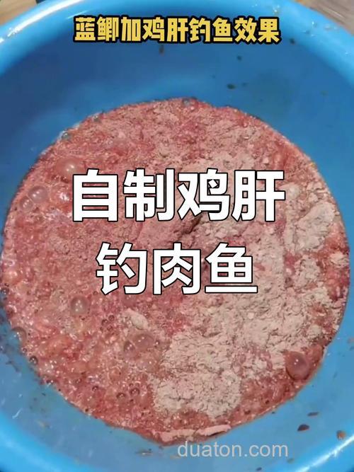 秋季钓鲫鱼用鸡肝可以吗?