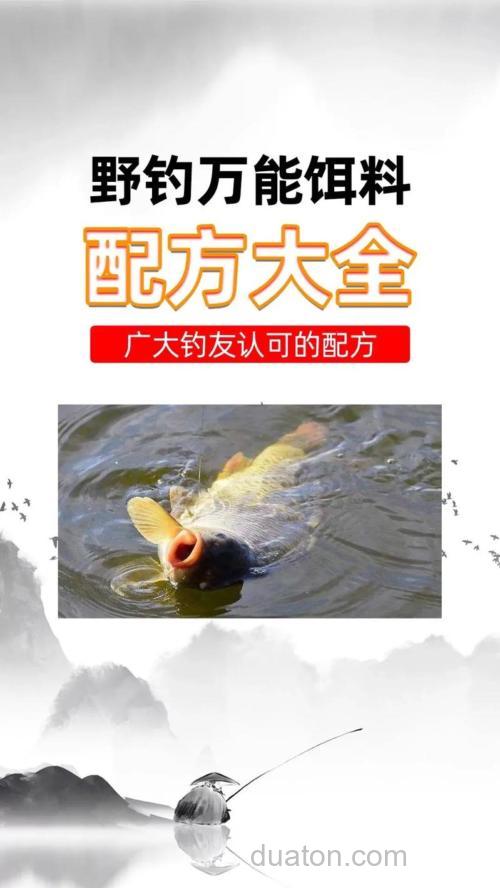 夏天钓鲤鱼用什么饵(前提没有商品饵)