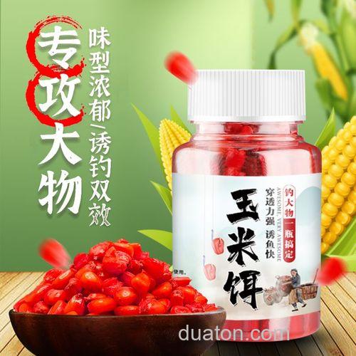 水库钓鲤鱼用玉米好还是饵料好?