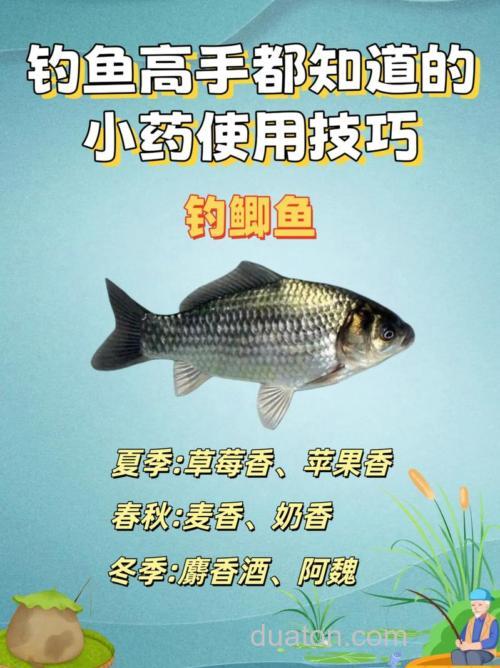 钓鱼小药特点总结和使用方法分享
