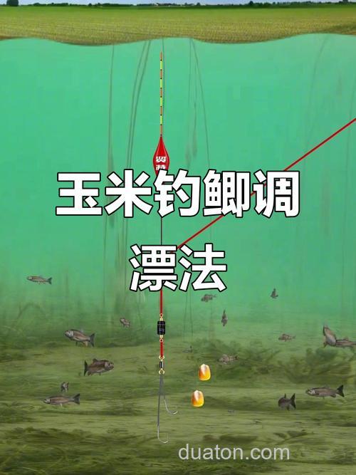 野钓鲫鱼玉米调漂最佳方法?