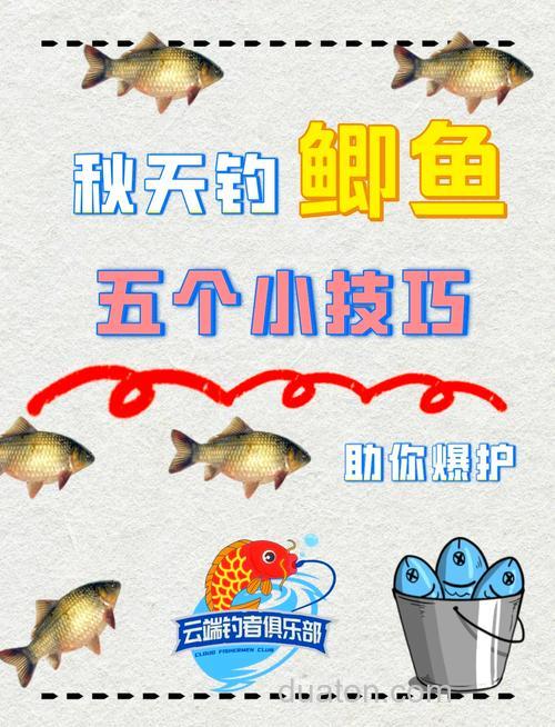秋钓鲫鱼的最佳方法是什么？
