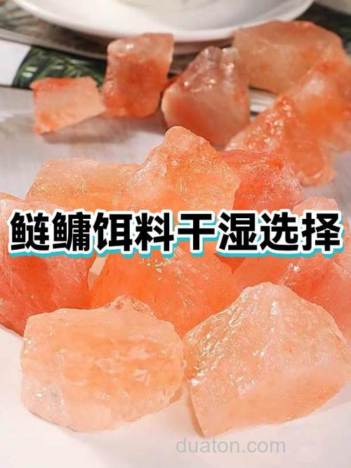 鲢鳙饵料加鸡肝粉的作用与功效