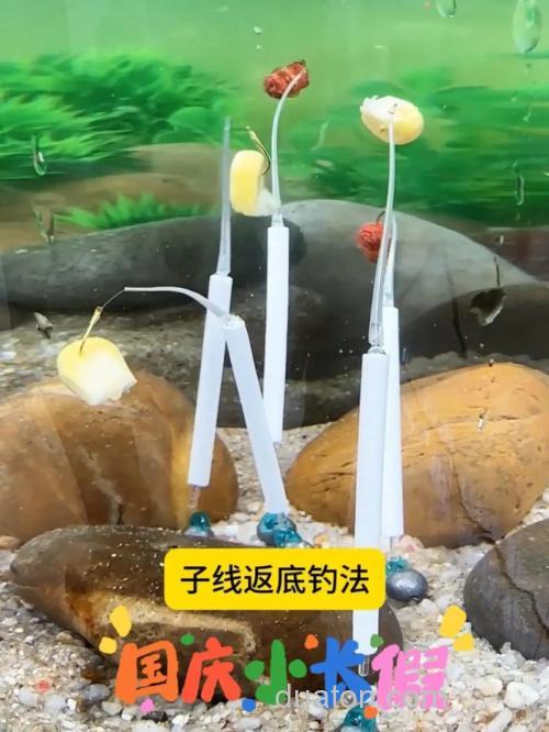 野钓中如何避免挂底,挂底之后如何补救