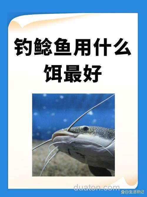 鲶鱼饵的来历？