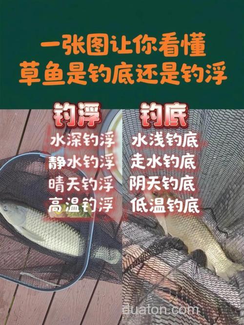钓草鱼如何选择钓底还是钓浮