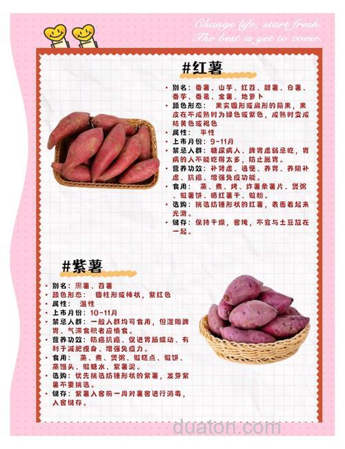 红薯小药的正确用法?