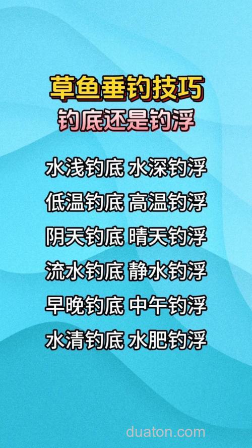 想要多钓草鱼,要分清什么时候钓底,什么时候钓浮
