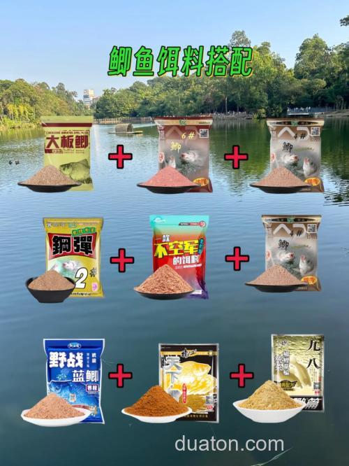 养鱼塘钓鲫鱼打窝、钓饵用什么饵料？