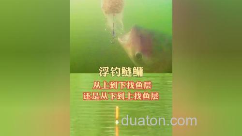 钓鲢鳙从什么时候开始找水层?