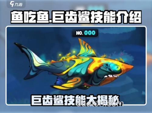 妄想山海钓鲛鲨攻略：掌握技巧，轻松捕获珍贵鱼类