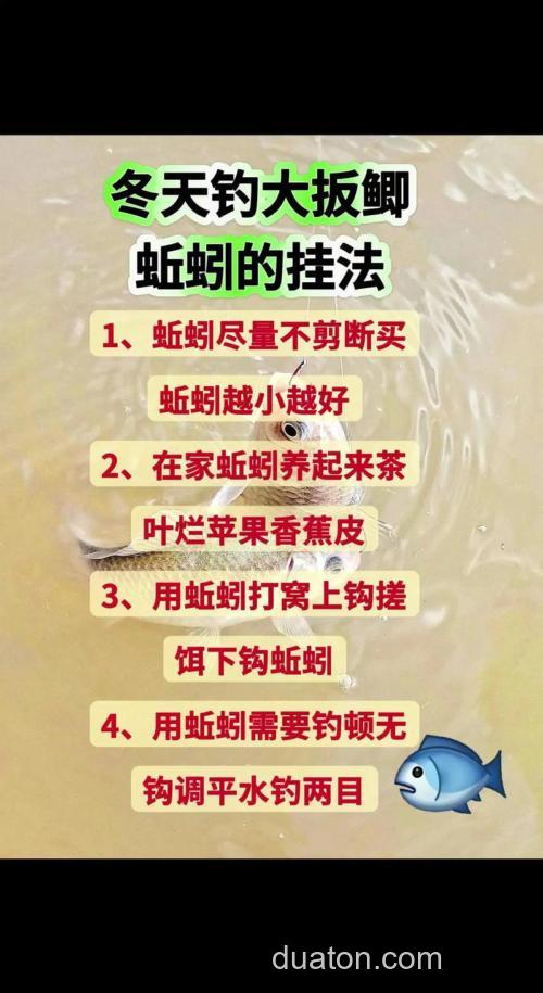 商品饵加蚯蚓,钓鲫鱼秘籍