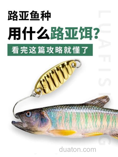 路亚鳊鱼用什么饵最好