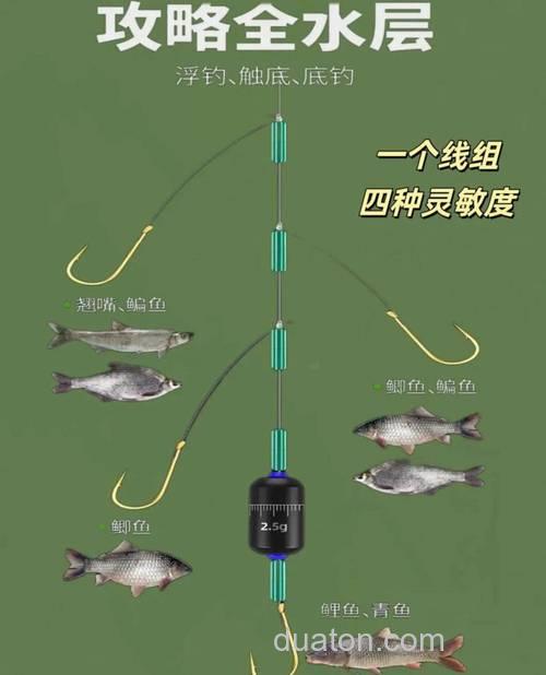 钓鲫鱼用的线组?