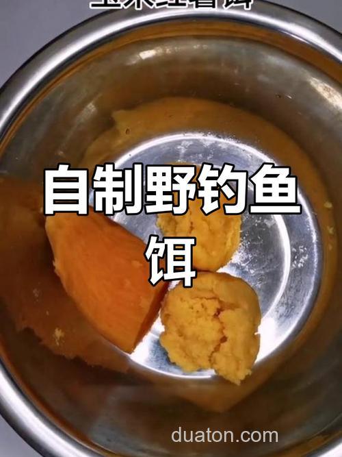 红薯玉米面钓鲤鱼绝密配方?