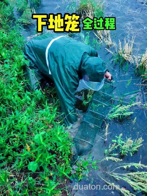 深水怎么下黄鳝地笼?