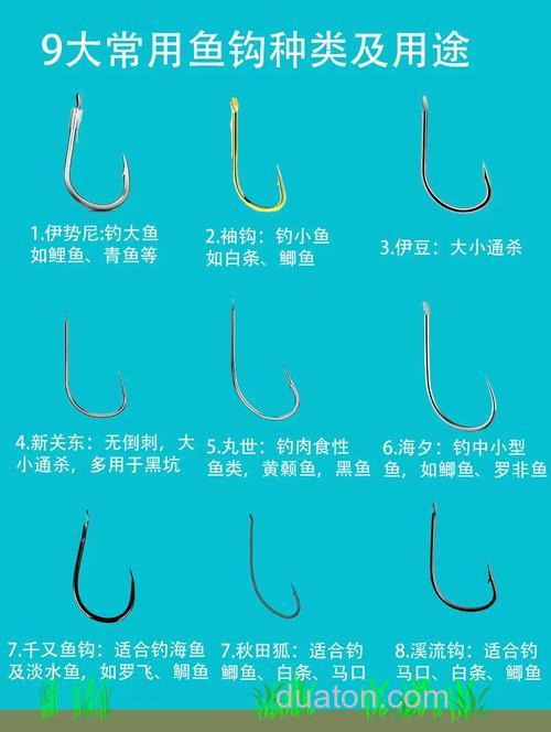 钓鲤鱼用什么钩?