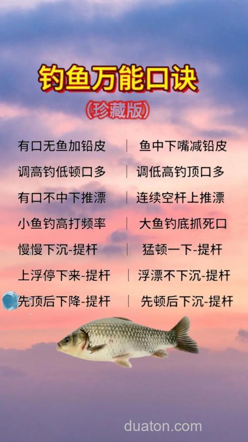 秋季钓鱼口诀顺口溜大全