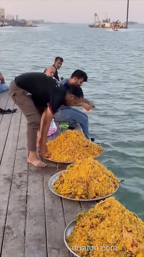 剩菜剩饭能养鱼吗?