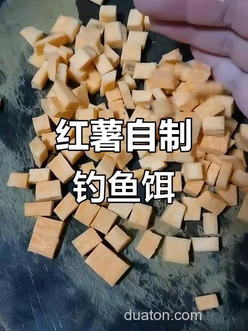 红薯钓鲤鱼绝招自制红薯饵料