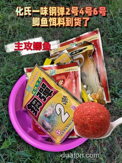 夏天钓鱼鱼饵是腥香的好还是麦香的好