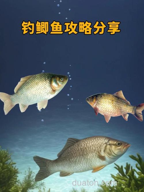 九月份怎么钓鲫鱼鲤鱼?