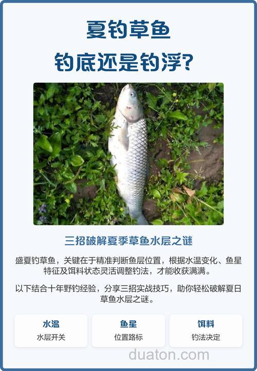 夏季钓草鱼,钓浮还是钓底?