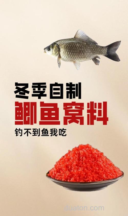 冬季钓鲫鱼用什么窝料效果好?这6种窝料可以试试!