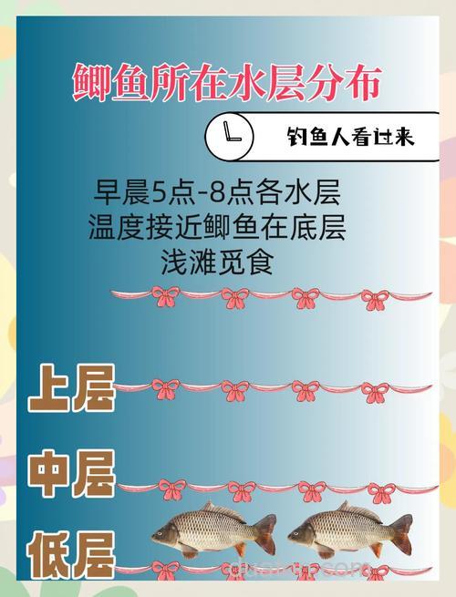 冬季野钓大板鲫的时间是几点?下午四点到晚上十点!