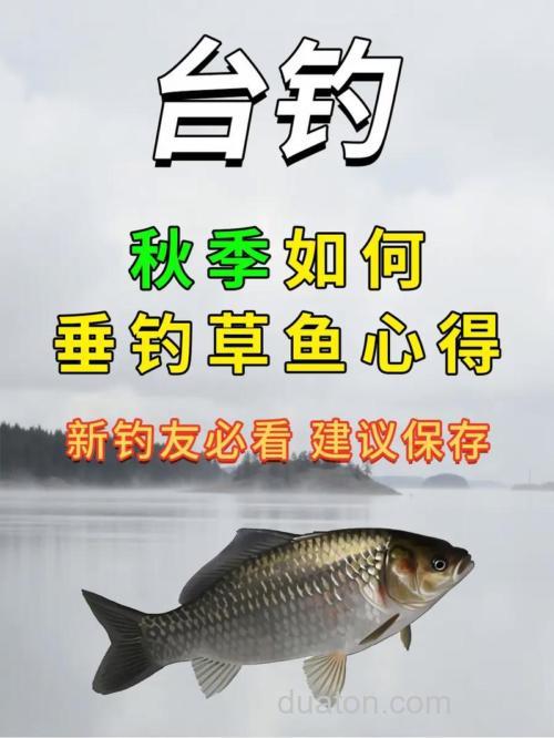 秋季如何垂钓草鱼?