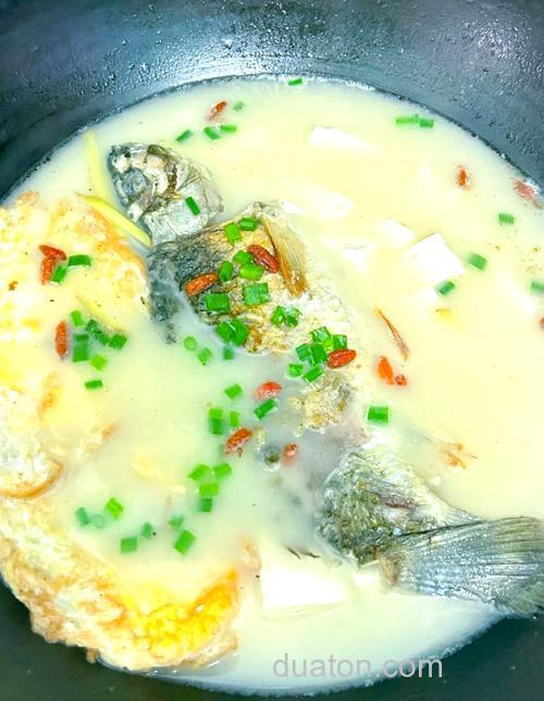 鲫鱼汤里的油是什么?