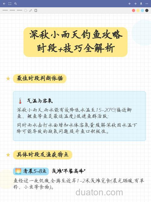 秋季雨天钓鱼时间的最佳时间是多少?