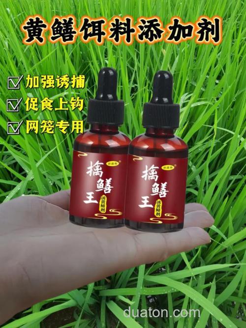 捕野生黄鳝用什么诱饵?