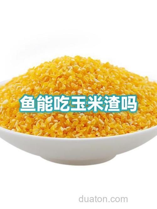 玉米酸了鱼还吃吗?