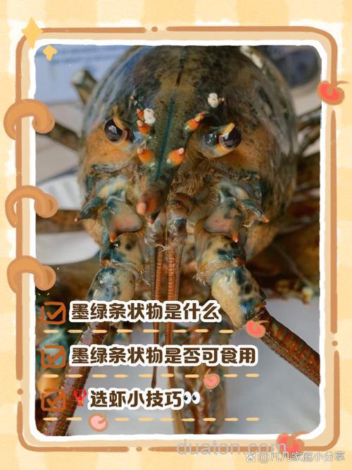 小龙虾切碎了可以喂养黄鳝吗?养殖还需要注意什么?