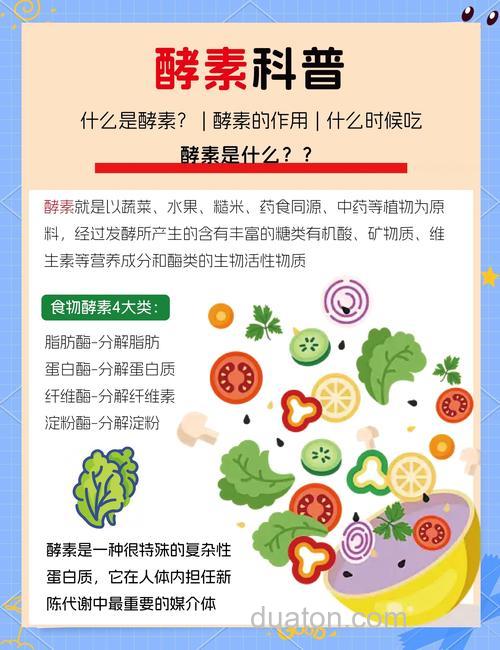酵素分哪些?
