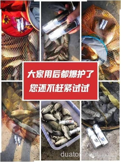 窝子里有没有鱼怎么判断出来?