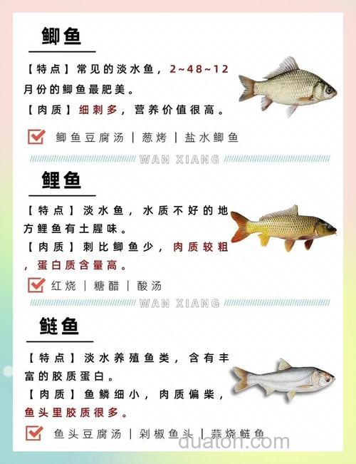 市场上卖的鲤鱼食如何配制