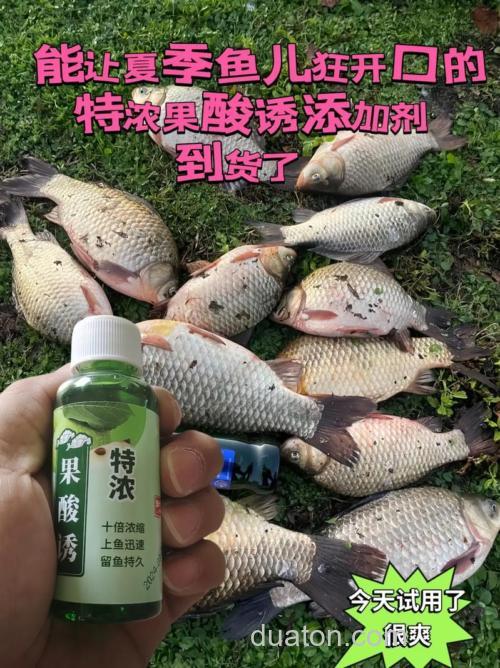 钓鱼用的果酸和果酸诱是否就是同一种东西?