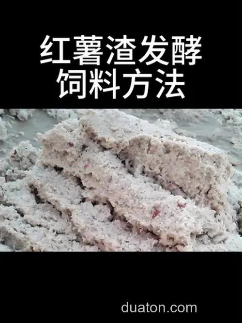 红薯如何发酵做饵料？