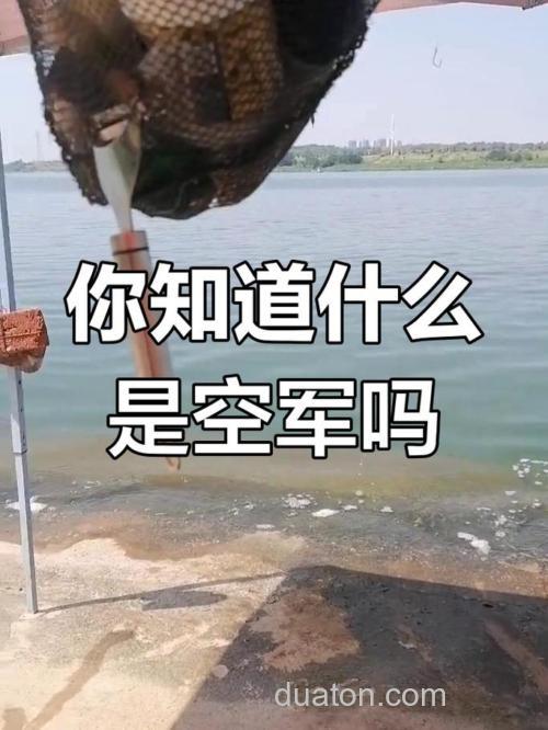这4种鱼宁愿空军也不想遇到,会钓到心态崩溃