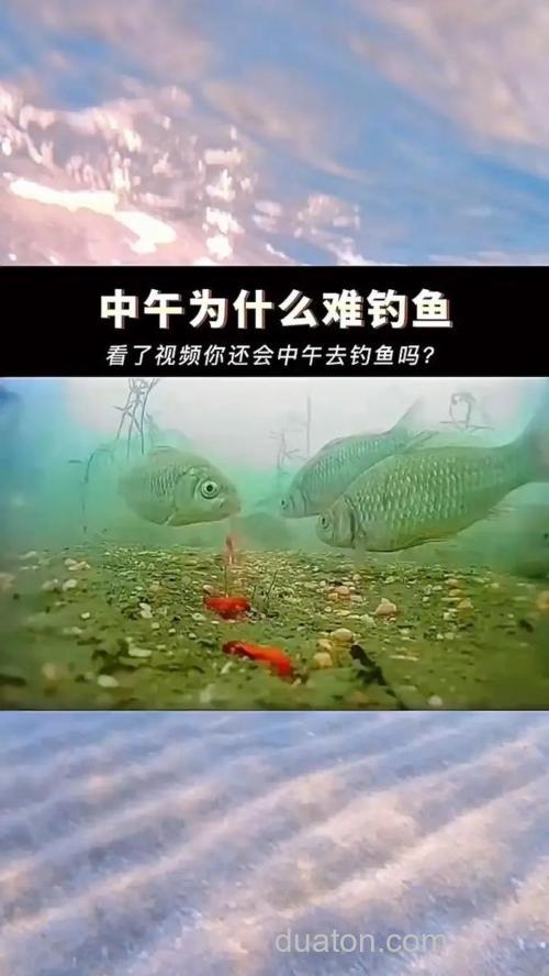 午时鱼真的难钓吗?神仙难钓午时鱼不是空穴来风