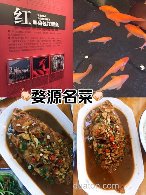 婺源荷包鲤鱼的做法?